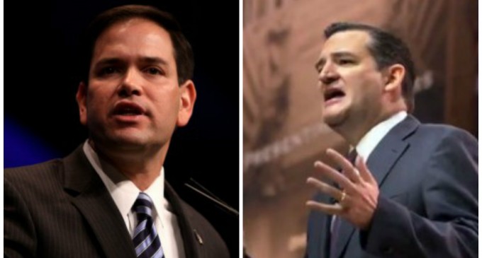 Cruz Apologizes — Again. This Time to Marco Rubio