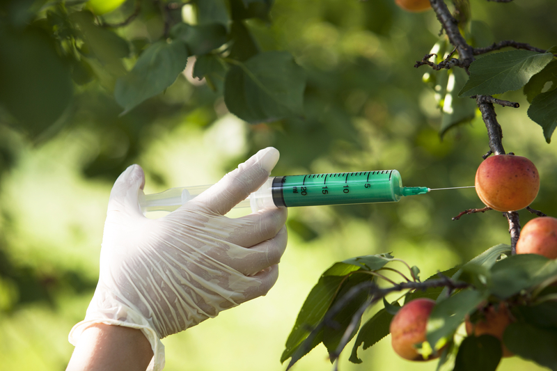 Federal Judge Overturns Hawaii Ordinance Banning GMOs