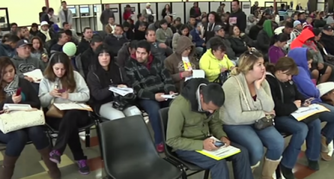 California Awarded Over 600,000 Driver’s Licenses To Illegal Immigrants in 2015