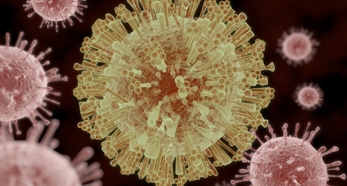 More Than 4 Million Cases of Zika Virus Anticipated Inside U.S.