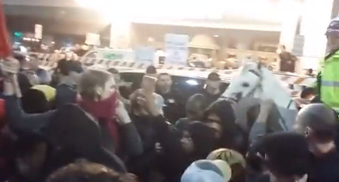 Self-Described ‘Commie Feminist’ Assaults Police Horse at Anti-Trump Protest