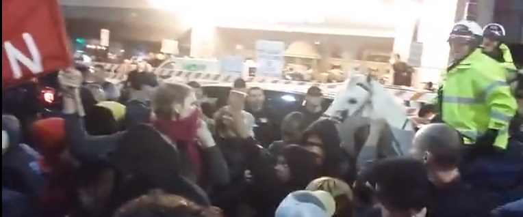 Self-Described ‘Commie Feminist’ Assaults Police Horse at Anti-Trump Protest