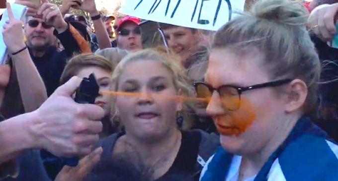 Trump Protester Sucker Punches Man, Gets Maced