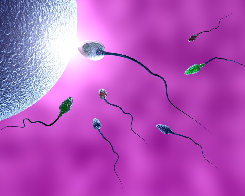Scientists Discover Human Life Begins with an Explosion of Sparks
