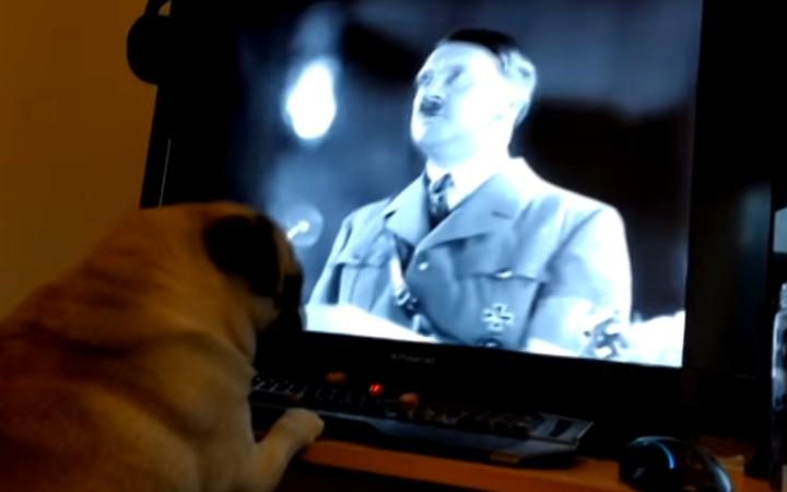 Scottish Man Arrested for ‘Nazi Pug’ Prank Video Posted to YouTube