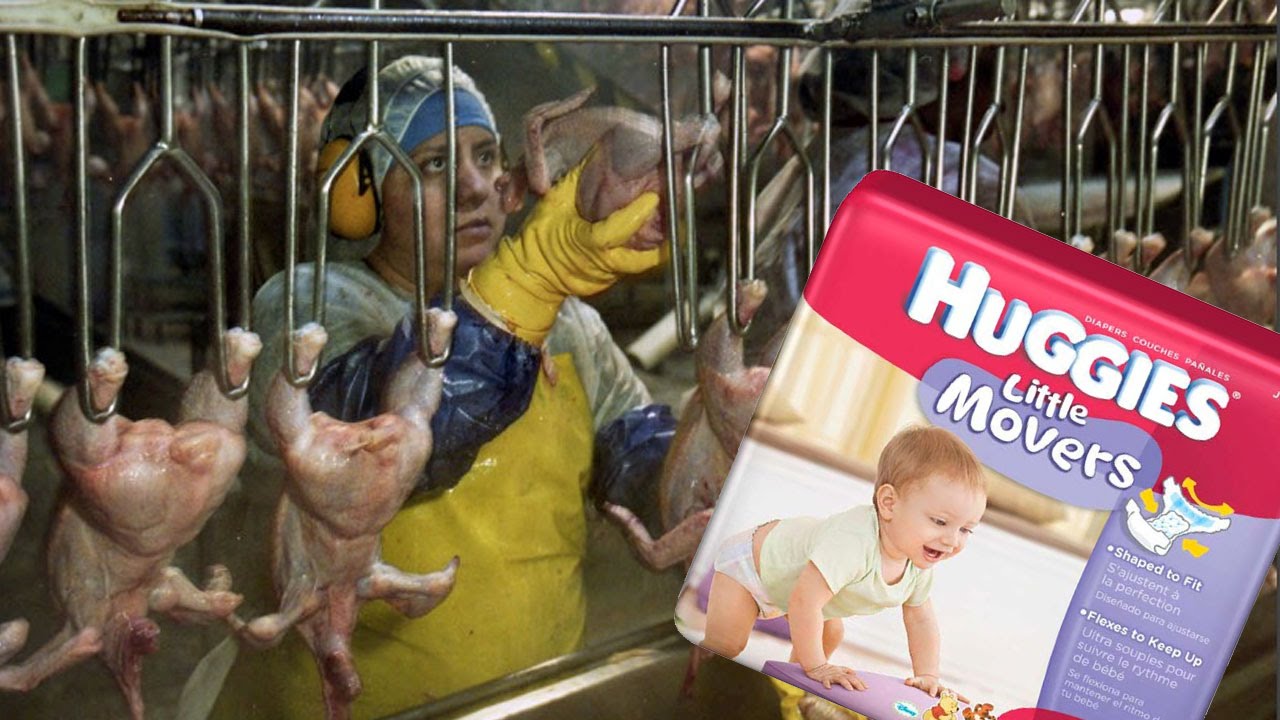 Poultry Industry Workers Forced to Wear Diapers