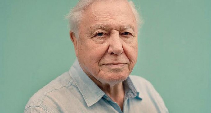 David Attenborough: Humans are plague on Earth