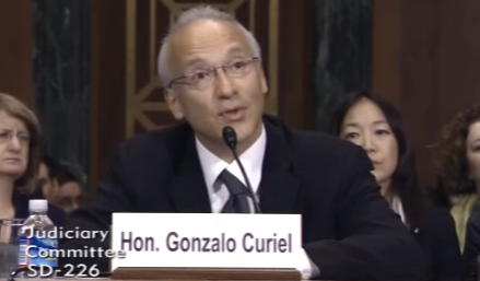 Proven Bias: Trump U Judge Awards Scholarship to Illegal Immigrant