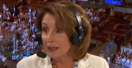 Pelosi: ‘White Males’ Sabotage Their Own Interests in Clinging to ‘Guns, Gays, and God’