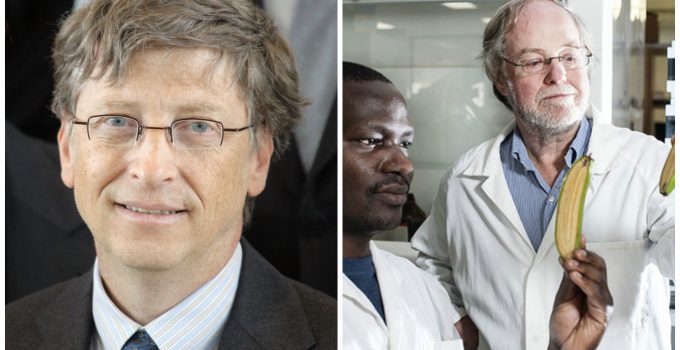 Scientists Condemn Bill Gates’ Human Experimentation with Genetically Modified Bananas