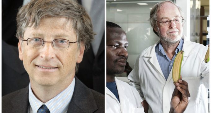 Scientists Condemn Bill Gates’ Human Experimentation with Genetically Modified Bananas
