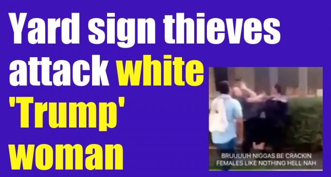 Hispanics Beat Up White Woman for Trump Yard Sign