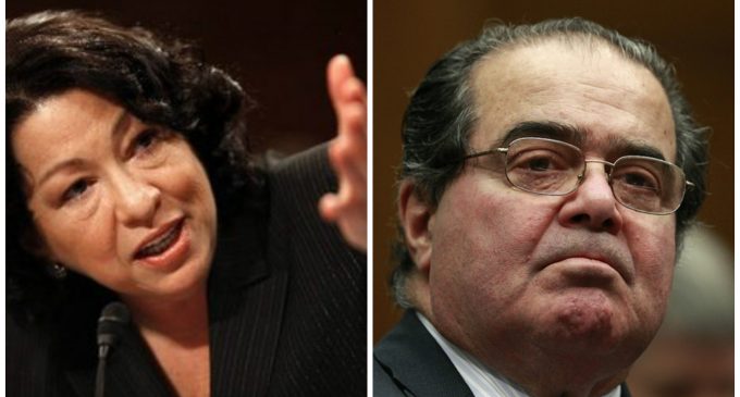 Supreme Court Justice Sotomayor “Might Have Used a Bat” on Justice Scalia