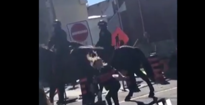 Woman Recieves Instant Karma after Slapping Officer’s Horse