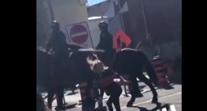 Woman Recieves Instant Karma after Slapping Officer’s Horse