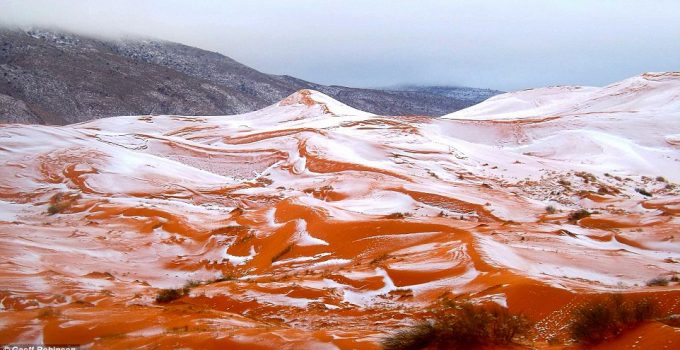 Snow Falls Over World’s Largest Desert for the First Time Since 1979