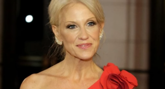 Kellyanne Conway Allegedly Punches Man in Face Three Times at Inauguration Ball