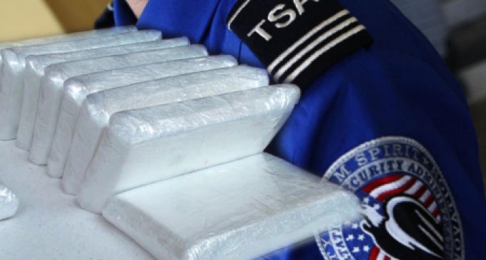 TSA Agents Caught Smuggling 20 Tons of Cocaine