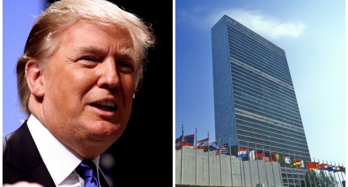 President Trump Puts the UN Budget on the Chopping Block