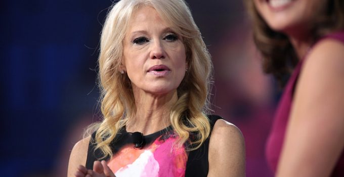 Liberal Democrat Makes Crude Remark About Trump Aide Kellyanne Conway