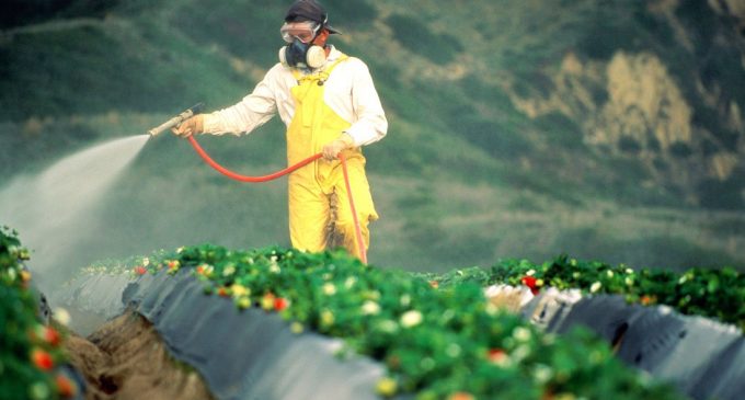 Monsanto Claims That Chemical Glyphosate in Roundup is ‘Medicine’