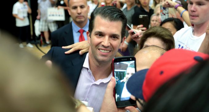 Donald Trump Jr. Bitten by Political Bug, May Be Eyeing Future Bid for NY Governor