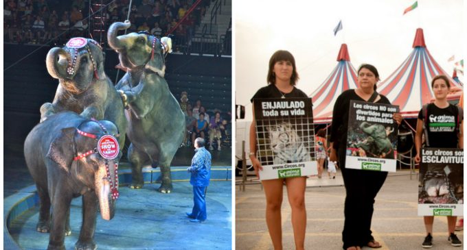 PETA Wins: Ringling Bros. Circus Closes After Nearly 150 Years