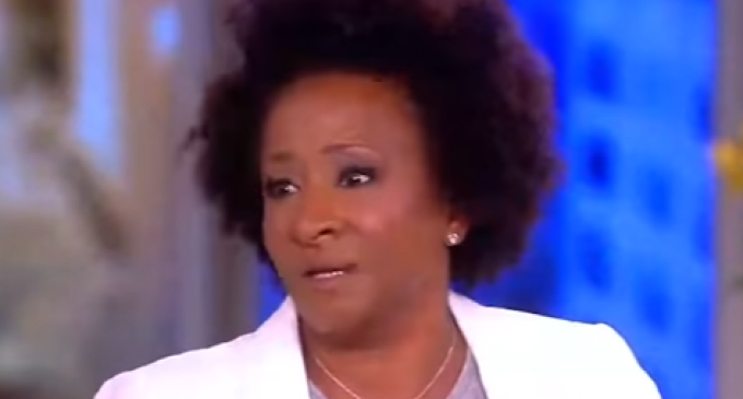 Wanda Sykes: Repealing Obamacare is Racist