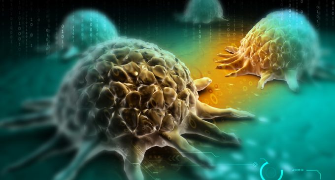 Johns Hopkins Researchers Unlock Secret Of Cancer Metastasis; Innovative Drug Treatments Might Halt Cancer Spreading