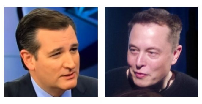 Cruz Blasts Billionaire Musk for Climate Change Platitudes Made on His Private Jet