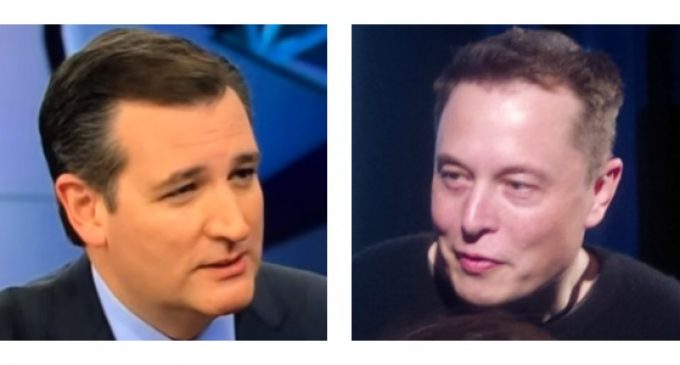 Cruz Blasts Billionaire Musk for Climate Change Platitudes Made on His Private Jet