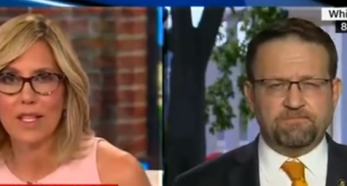 Gorka Crushes Camerota: More People Watch Nick At Nite Cartoons Than CNN