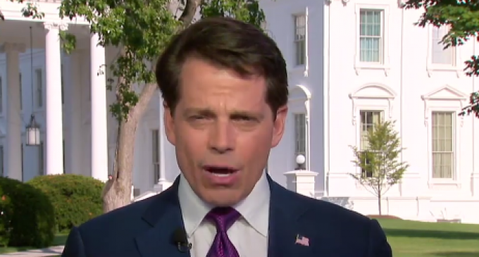 Scaramucci: ‘I Want to F**king Kill All the Leakers’, ‘Will Never Trust a Reporter Again’