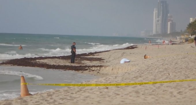 Federal Tax and Visa Prosecutor Found Dead on Debbie Wasserman Schultz’s Beach