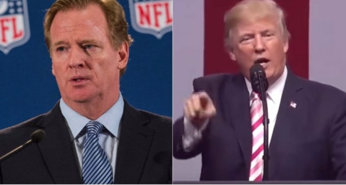 NFL Commissioner Angry at Trump for Telling the Truth About the NFL