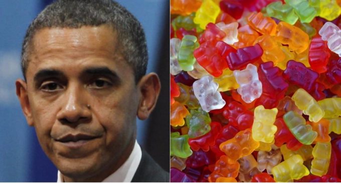 Klein: Obama Popping Drug-laced Gummy Bears
