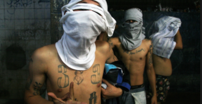 Mexican Drug Cartels Agree to Stop Assassinating Politicians Under One Condition