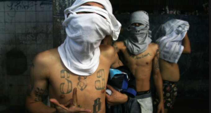 Mexican Drug Cartels Agree to Stop Assassinating Politicians Under One Condition