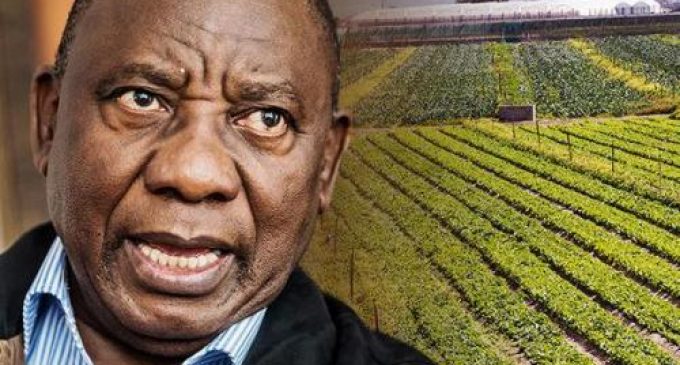 Seizure of White-owned Farmland Begins in South Africa