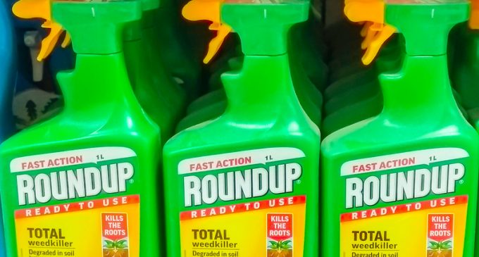 Monsanto Slammed with $289M Verdict in Landmark Roundup Cancer Trial