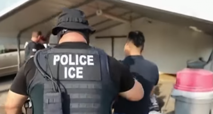 Koch Foods Sues ICE for Raiding Their Processing Plants