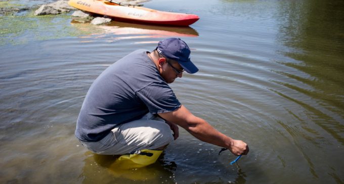 Fecal Bacteria Reaches Dangerous Levels in California’s Waterways