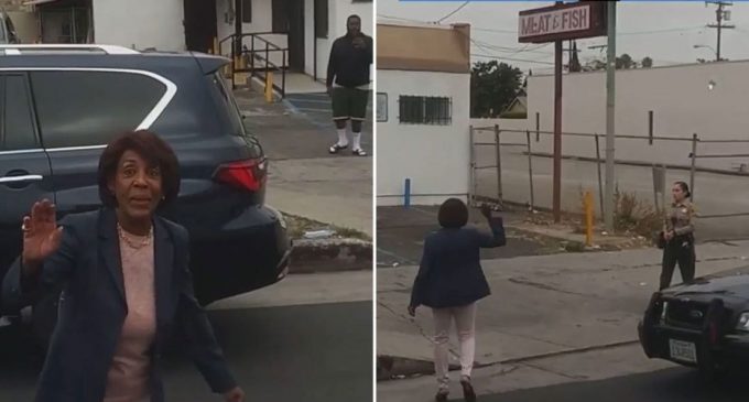 Maxine Waters Intervenes When Police Detain Black Suspect