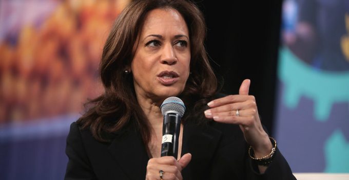 Kamala Harris: “We have to have” a “Mandatory Gun Buyback Program”