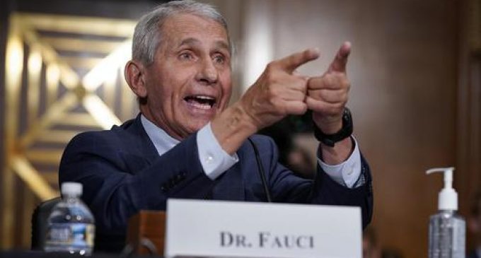 Top Scientist: New FOIA Release Shows Fauci ‘Untruthful’, Construction Of ‘Chimeric Coronaviruses’ Funded in Wuhan