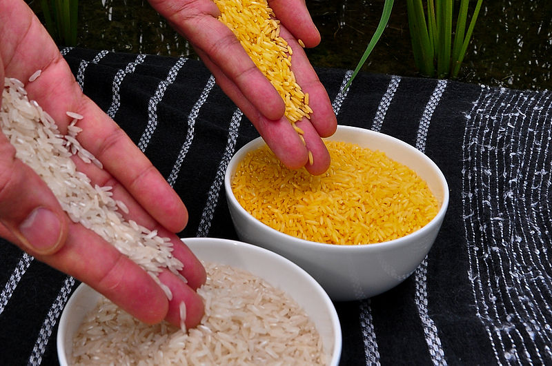 Golden Rice: Trojan Horse or Lifesaver?