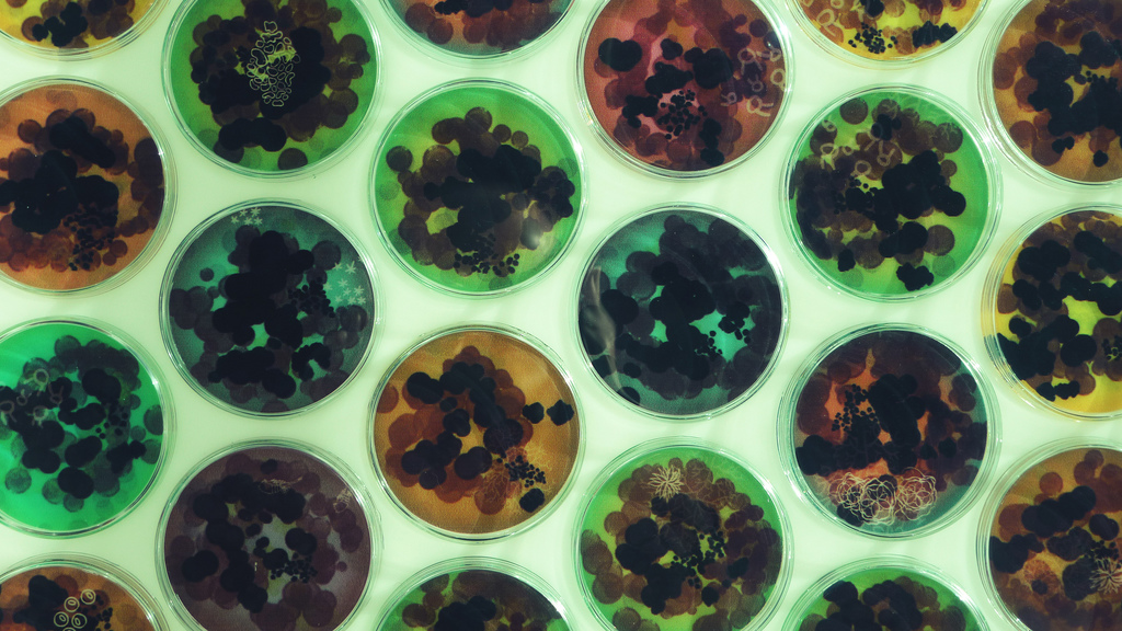GMO Crops not scary enough, now designer baby tech may be patented