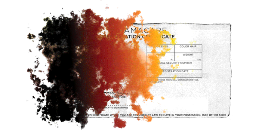 Protest campaign urges Americans, “Burn your ObamaCare card”