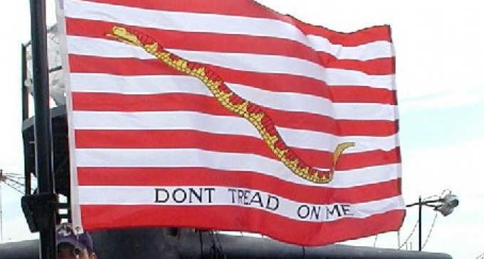 Navy SEALs Ordered to Remove Don’t Tread on Me, Navy Jack Flag Patches From Uniforms