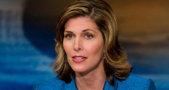 Veteran Journalist Attkisson: Mexican Cartels have Infiltrated U.S. Military, Law Enforcement